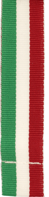 V3-GN_W_R_2.png