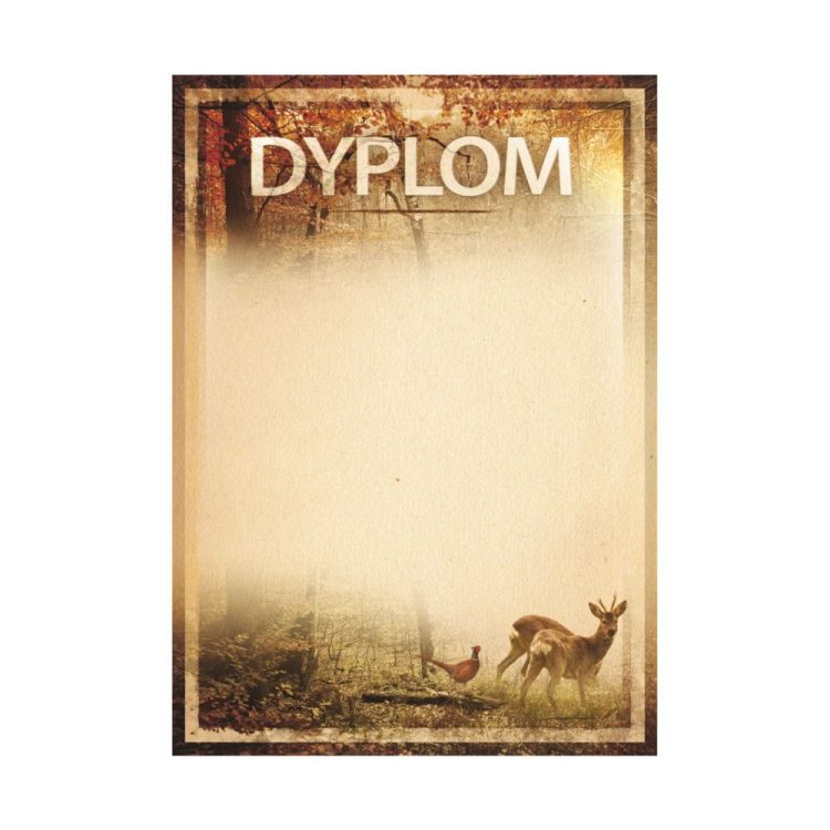 bfed384f60fc8dc7fc855c1aec6f7ffc