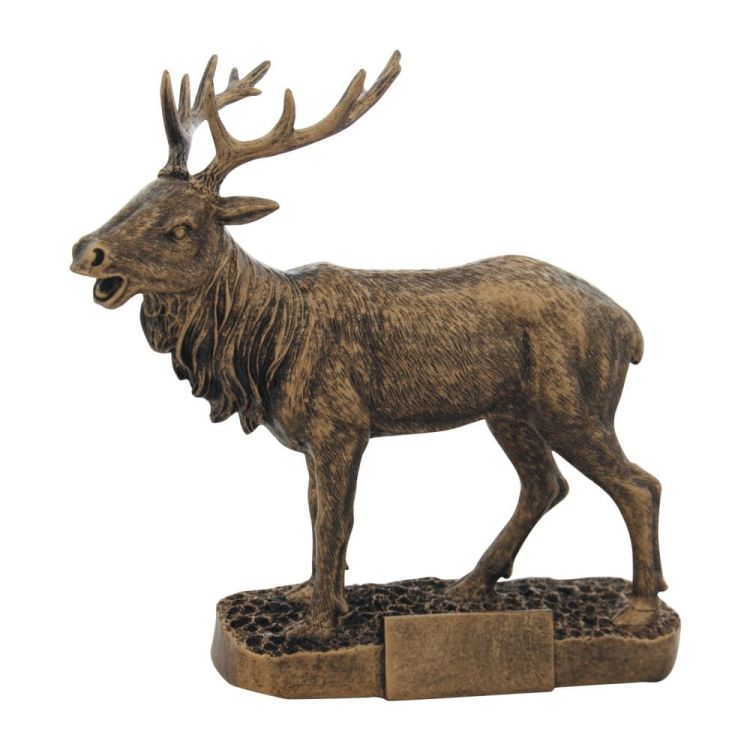 1fe2312493b457c0c6c43eb0cfdc28c4