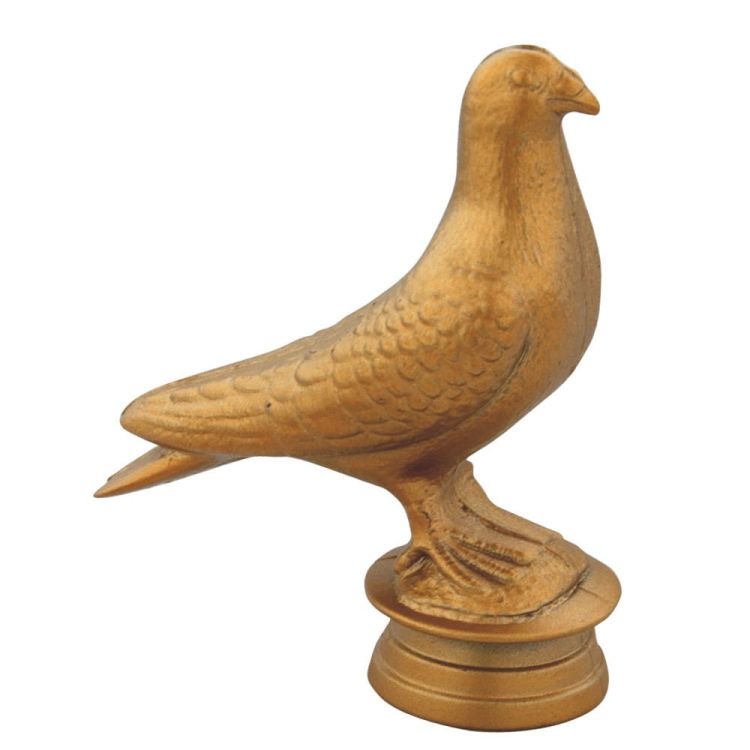 87512476ed5fe46b98dc4d4d0b3f3794