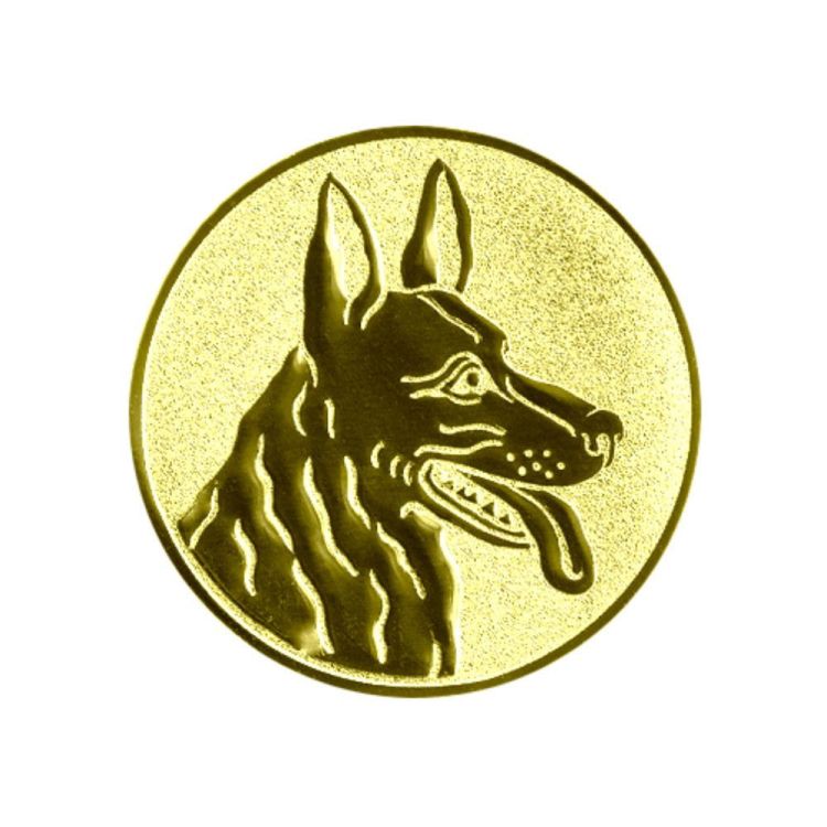 f927f65d92b44fc12f7d33f46f0cc3ee