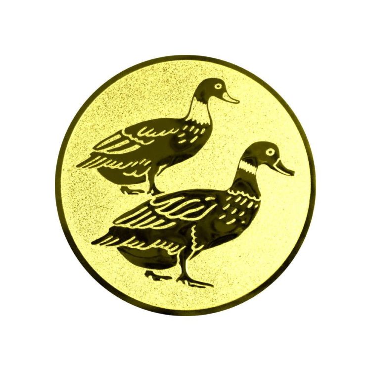 56804978b1e87466b83df21c7c2fd1ed