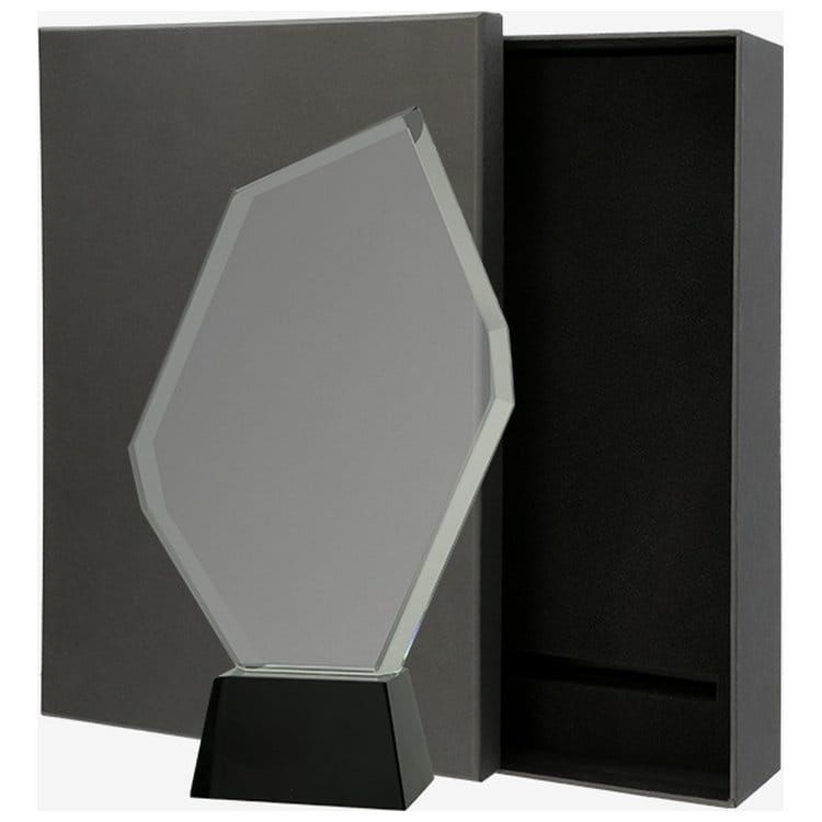 Pamiątkowa statuetka w eleganckim etui na jubileusz firmy C069