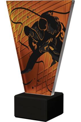 Statuetka Szklana Judo V-Line VL1/JUD/BK | 4 Rozmiary