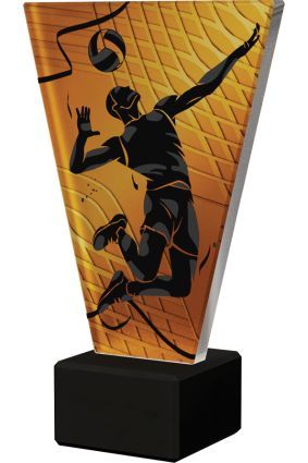 Statuetka Szklana Siatkówka V-Line VL1/VOL/BK | 4 Rozmiary