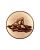 emblemat-aluminiowy-fi50-eat11228-30-plywanie.jpg