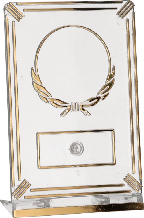 Eleganckie, przezroczyste trofeum plastikowe 50163_T-G